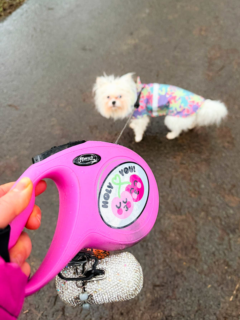 <p>Squad Member Jasmin ist auch ganz im HOLY Style beim Gassi gehen unterwegs</p>
