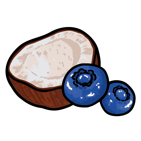 Zeichnung einer halben Kokosnuss und zwei Blaubeeren auf schwarzem Hintergrund.