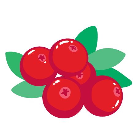 Illustration von fünf roten Beeren mit grünen Blättern.