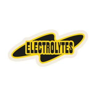 Schwarzes und gelbes Logo mit dem Schriftzug "ELECTROLYTES" vor einem blitzförmigen Hintergrund.