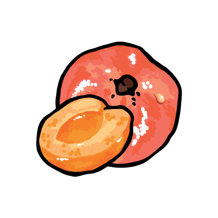 Eine ganze und eine halbierte Aprikose auf schwarzem Hintergrund.