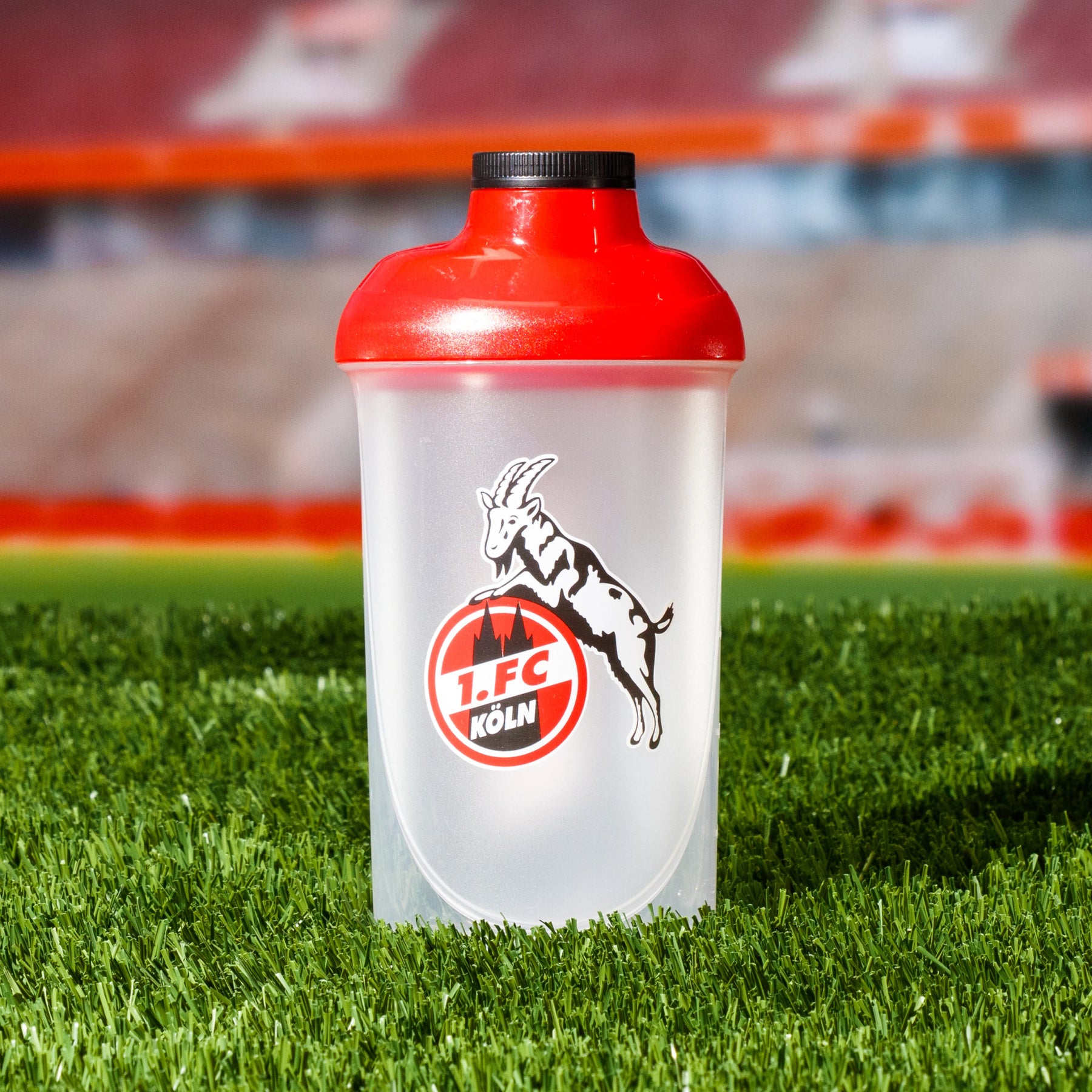 Shaker – 1. FC Köln