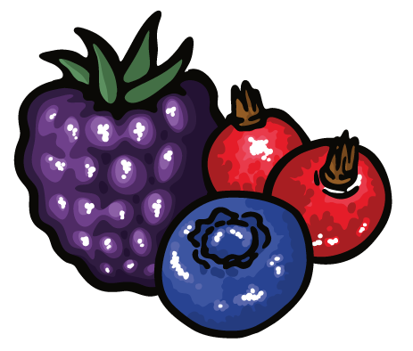Illustration aus einer Brombeere, einer Himbeere und einer Blaubeere mit grünen Blättern.