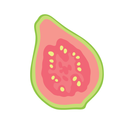 Eine stilisierte Zeichnung einer halbierten Guave mit grünem Rand und rosa Innerem mit gelben Kernen.